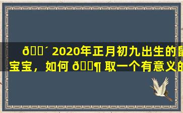 🌴 2020年正月初九出生的鼠宝宝，如何 🐶 取一个有意义的名字